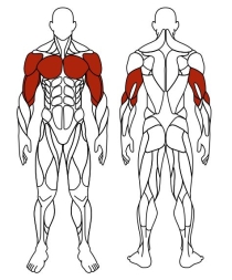 Стол для армреслинга (серый) - Уличный тренажер - СТ 001-13, фото 5 Стол для армреслинга (серый) - Уличный тренажер - СТ 001-13, фото 5