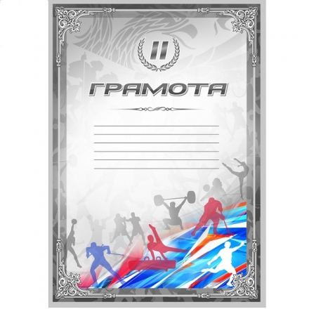 Грамота спортивная 2 место, формат А4, картон, фото 1