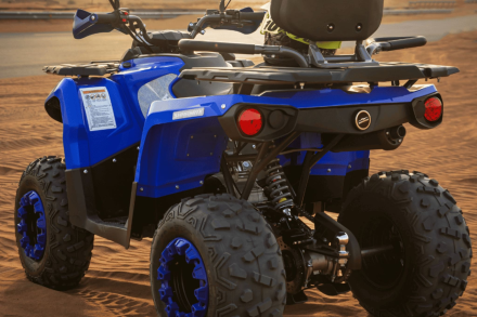 Квадроцикл SHARMAX Hummer 320 RX, фото 25