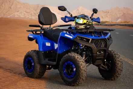 Квадроцикл SHARMAX Hummer 320 RX, фото 20