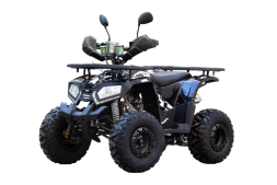 Квадроцикл UNIVERSAL ATV 125 TM Fusion, фото 2