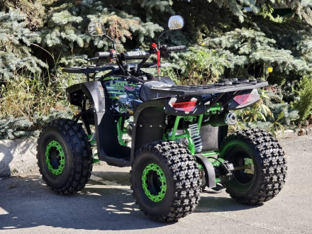 Квадроцикл RMOTO Lion 125AR Lite, фото 4