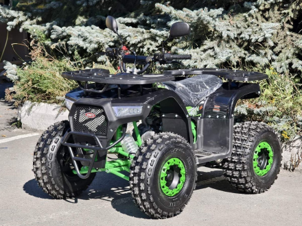 Квадроцикл RMOTO Lion 125AR Lite, фото 3