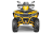 Квадроцикл СТЕЛС ATV 800 Guepard Trophy EPS (ПСМ)