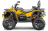Квадроцикл СТЕЛС ATV 800 Guepard Trophy EPS (ПСМ)