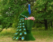 Топиари павлин Корица - газон Premium Топиари павлин Корица - газон Premium