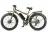 Велогибрид VOLTECO BIGCAT DUAL NEW
