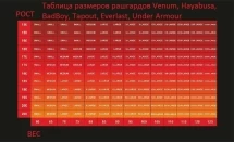 Рашгард Bad Boy L-S Compression Performance Black