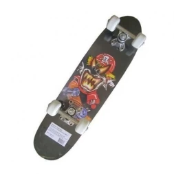 SHC-06 Скейтборд 24&quot;х6&quot;