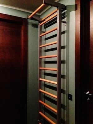 Шведская стенка комбинированная Гибрид-ТБ-СПШ, фото 5