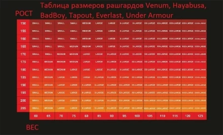Рашгард Booster boorash03, фото 4