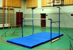 Брусья гимнастические женские классические, фото 2