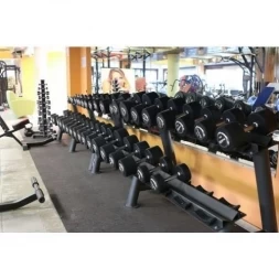 Гантельный ряд PROFI-FIT PROFESSIONAL 27,5 кг - 50 кг (10 пар), шаг 2,5 кг, фото 2