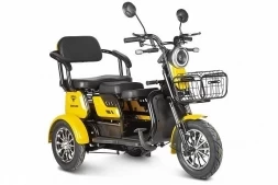 Трицикл Rutrike Бумеранг, фото 1