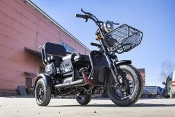 Трицикл Rutrike Бумеранг, фото 8