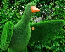 Топиари композиция Утки - газон Eco