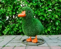 Топиари композиция Утки - газон Eco