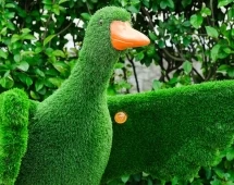 Топиари утка Кряк - газон Eco