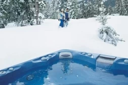 спа-бассейн Sundance Spas Altamar, фото 6