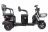 Трицикл Rutrike Трансформер