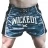 Тайские Шорты Wicked One wcktshorts014