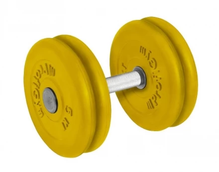 Гантель обрезиненная &quot;PROFIGYM&quot; с хромированной ручкой 21 кг, цветная  ГНЦ -21 , фото 1