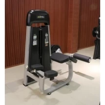 E-1001B Сгибание ног лежа (Prone Leg Cur). Стек 135 кг.