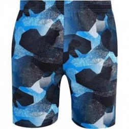 Шорты Asics asishorts02