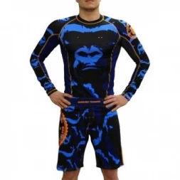 Шорты Hardcore Training hctshorts036, фото 3