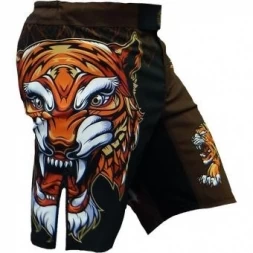 Шорты Hardcore Training hctshorts027, фото 1