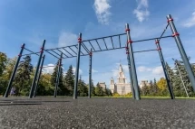 Комплекс из турников и рукохода Диксон