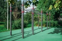 Комплекс из турников и рукохода Диксон
