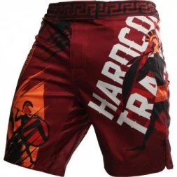Шорты Hardcore Training hctshorts065