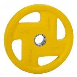 Диск обрезиненный PROFI-FIT цветной FASSION D-51, 15 кг, фото 1