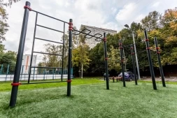 Комплекс из рукохода, змеевика и турников Ковдор, фото 4