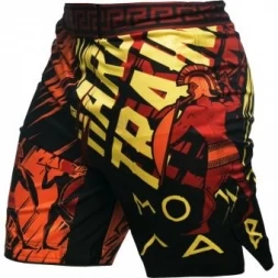 Шорты Hardcore Training hctshorts066