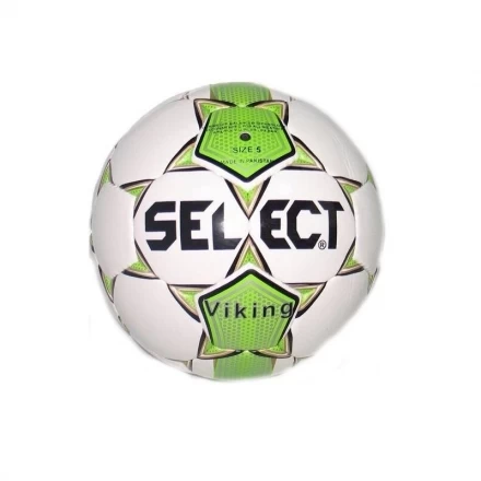 Мяч футбольный Select Viking № 5, фото 1