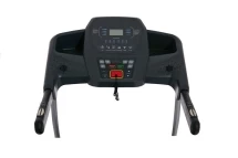 Беговая дорожка электрическая Royal Fitness (F-53) RF-2 