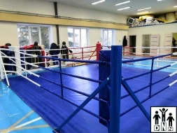 Ринг боксёрский на упорах 6,5х6,5м (боевая зона 5,5х5,5м, монтажная площадка 6,5х6,5м) DNN, фото 4