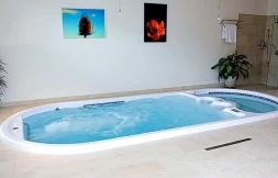 Плавательный спа-бассейн Dimension One Spas Aquafit Play, фото 4