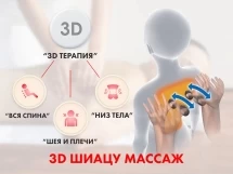 Массажное кресло FUJIMO QI F633 Business Edition Шампань