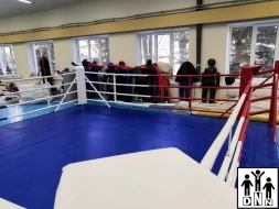Ринг боксёрский на упорах 7х7м (боевая зона 6х6м, монтажная площадка 7х7м) DNN, фото 2