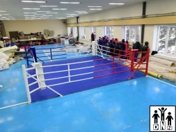 Ринг боксёрский на упорах 7х7м (боевая зона 6х6м, монтажная площадка 7х7м) DNN, фото 3