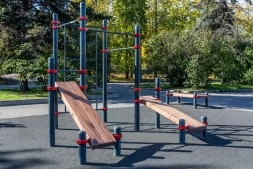 Комплекс из турников, шведской стенки и 2 скамеек из пресса Кенгуру Стандарт, фото 2