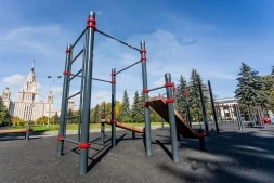 Комплекс из турников, шведской стенки и 2 скамеек из пресса Кенгуру Стандарт, фото 4