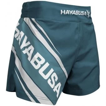 Шорты Hayabusa hayshorts094, фото 1