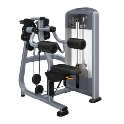 Tpeнaжep Дельтовидные сидя PRECOR DSL504