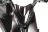 Электоскутер ZING PRIME