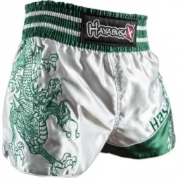 Шорты Hayabusa haytshorts06, фото 1