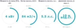 Насос с префильтром Saci Pumps Magnus-4 84м3/ч 380В, фото 2